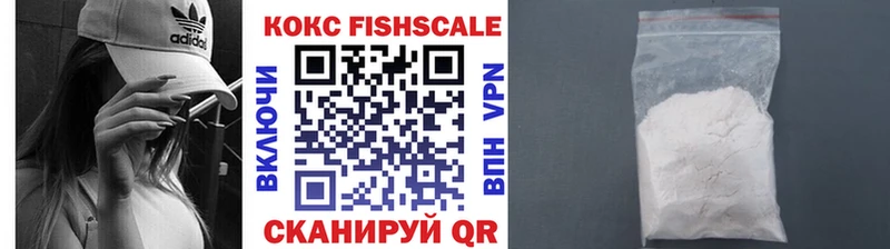 Cocaine FishScale  МЕГА вход  Киселёвск  сколько стоит 
