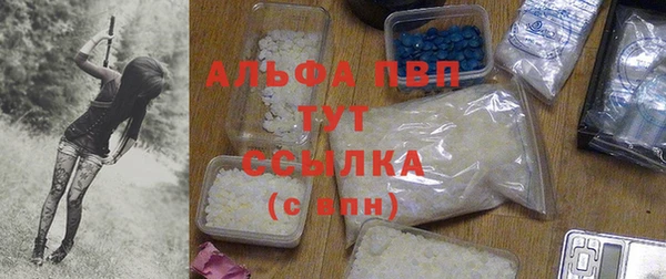 спиды Алзамай