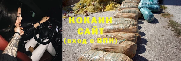 крисы Алексин