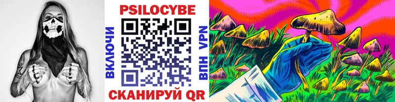 сколько стоит  OMG как войти  Псилоцибиновые грибы мухоморы  нарко площадка Telegram  Киселёвск 